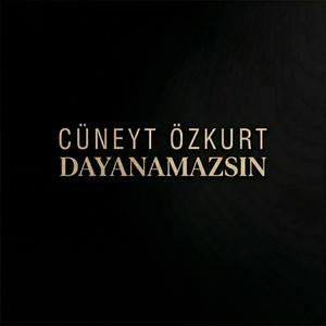 Dayanamazsın