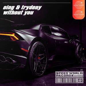 Without You (Extended Mix)