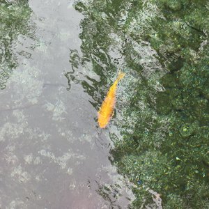 困住我的一直是我自己