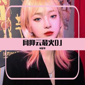 天下（DJ抖音热播）