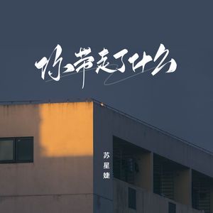 你带走了什么 (校园广播版)