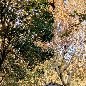 烂尾（prod by FRESH_ye）