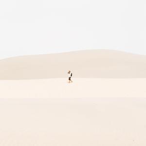 吹温柔晚风（经典纯音乐）