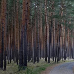 Space Meditation - Cosmic Calm