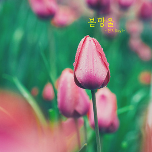 아이의 미소처럼