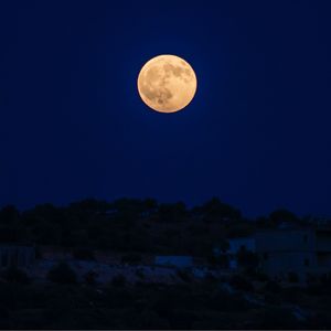 Fly Me To The Moon (1)