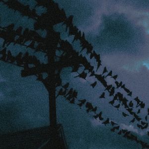 一切都是虚假的