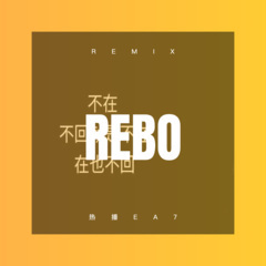 别笑我光棍 (DJ版)