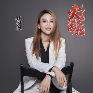 火火的大西北（DJ版）