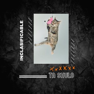 Ta Shulo
