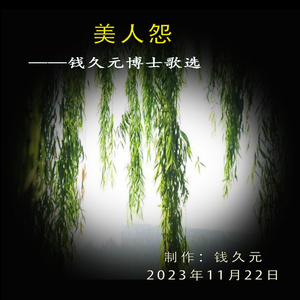 美人怨 (Pdunity版演唱)