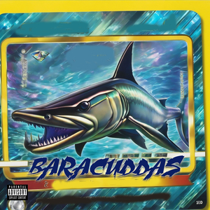 Baracuddas