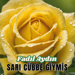 Sarı Cübbe Giymiş