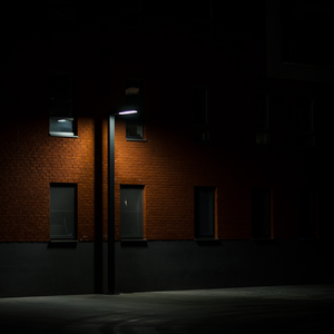 我也没有那样做