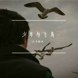 少年与飞鸟