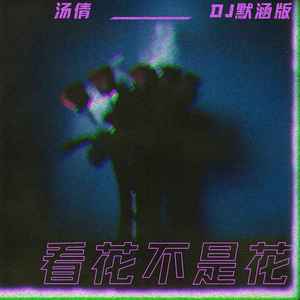 看花不是花 (DJ默涵版)