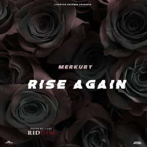 Rise Again