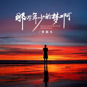 那些年少的梦啊 (DJ九零版)