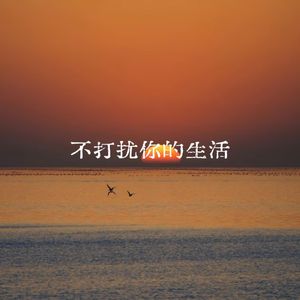 不打扰你的生活
