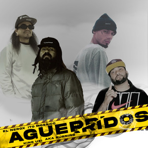 Aguerridos