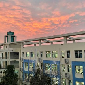 清晨会来临 黑夜会散尽 MOONYYSEA