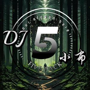 Fast Cars & Reverend Haus -Superstars （DJ小布remix）