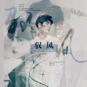 驭风（肖战应援曲）