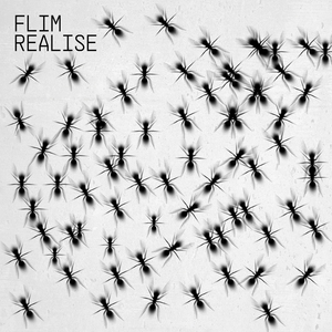 Realise