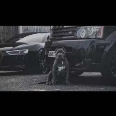 我想要请你坐上我的野摩托