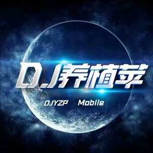 七朵组合-咏春（D J）（养植苹 remix）