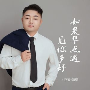 如果早点遇见你多好