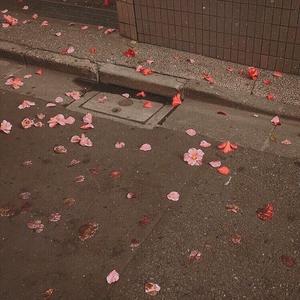 XYLØ-Afterlife（Ауылboy remix）