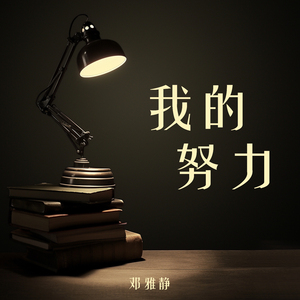 我的努力 (柔和版)