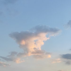 Error 404 love not found