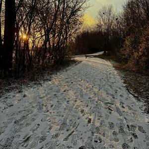 Troublant Bolero (2025)