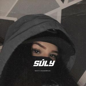 SÚLY