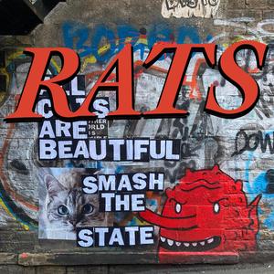 RATS (doom skrola techno remix)