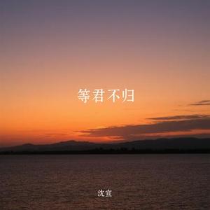 等君不归