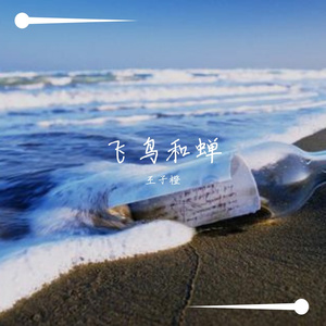 飞鸟和蝉（翻自 黑崎子）