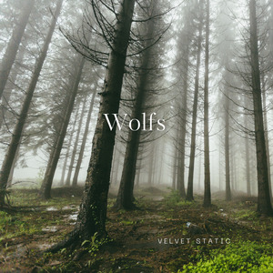 Wolfs