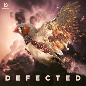 Defected (Extended)