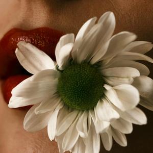 Не дочекалась