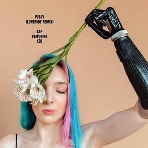 Pu$$y (lonerboy Remix)