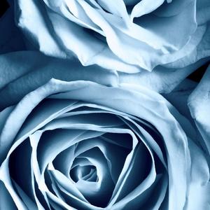 假如爱有天意（二胡版）