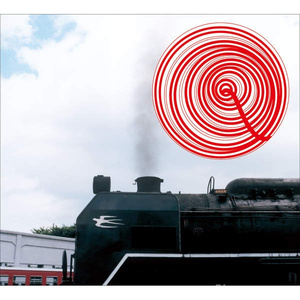 琥珀色の街、上海蟹の朝