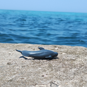 BRASIL (Remastered 2026)