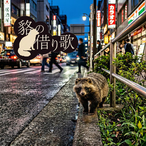 貉の借り歌