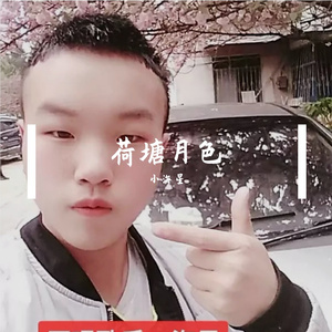 唱着情歌流着泪（Live）