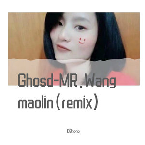 群星-Ghosd-MR.Wang maolin(remix)（DJqoqo Remix）