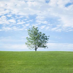 红尘沉浮梦难觅